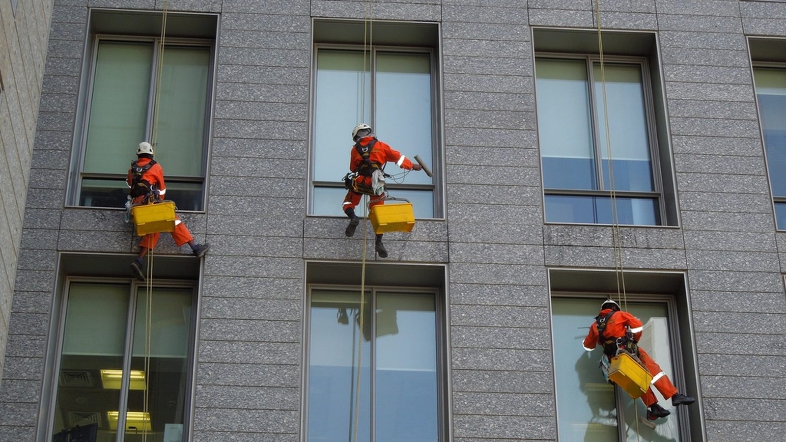 Working in cleaning businesses